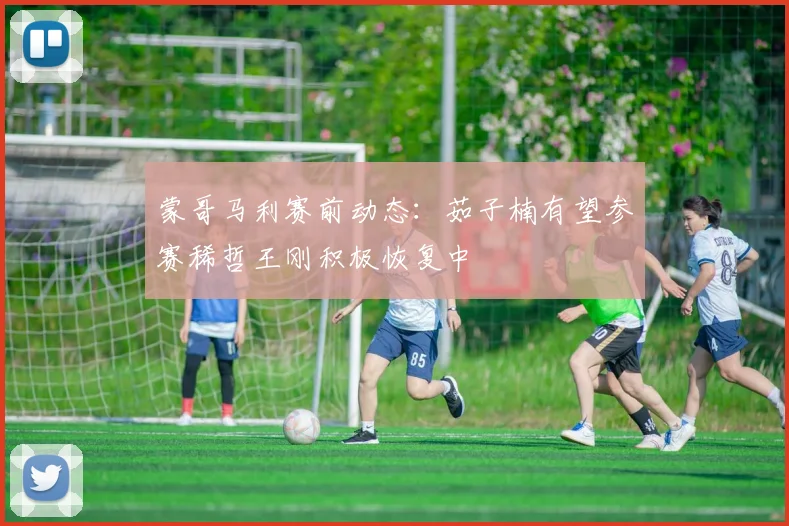 蒙哥马利赛前动态：茹子楠有望参赛稀哲王刚积极恢复中