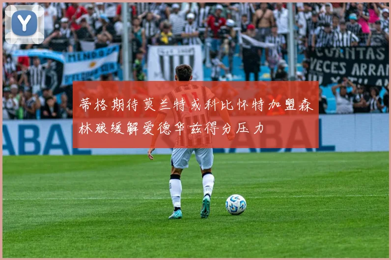 蒂格期待莫兰特或科比怀特加盟森林狼缓解爱德华兹得分压力