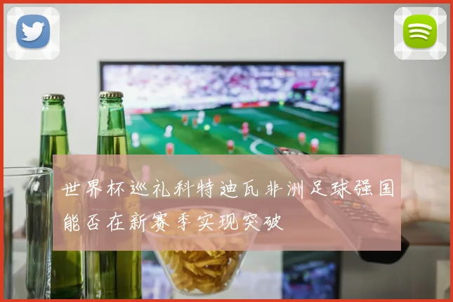 世界杯巡礼科特迪瓦非洲足球强国能否在新赛季实现突破